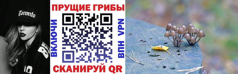 наркота  Краснокаменск  Псилоцибиновые грибы MAGIC MUSHROOMS 