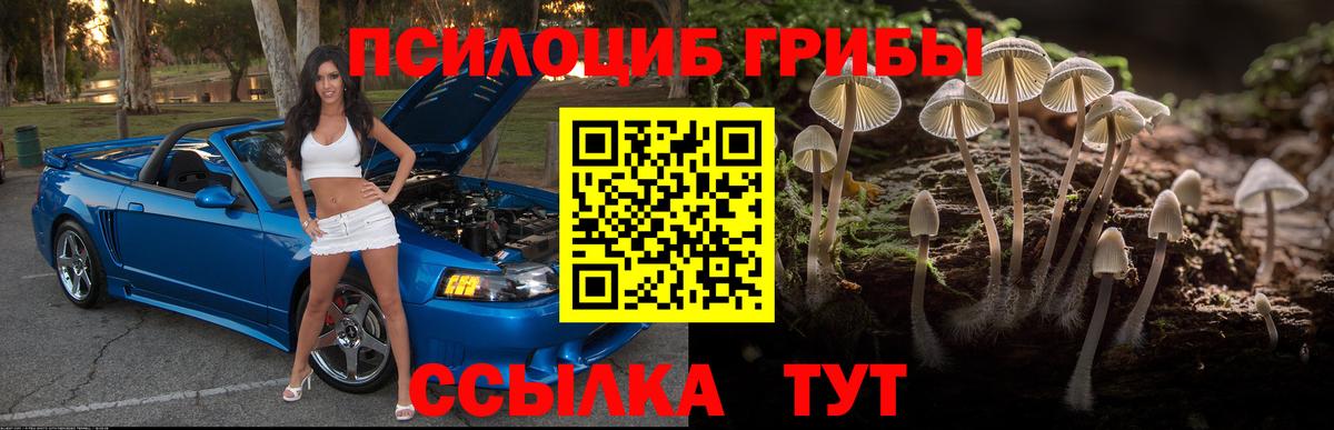 Краснокаменск  Галлюциногенные грибы MAGIC MUSHROOMS  Галлюциногенные грибы мицелий  Вход с VPN 